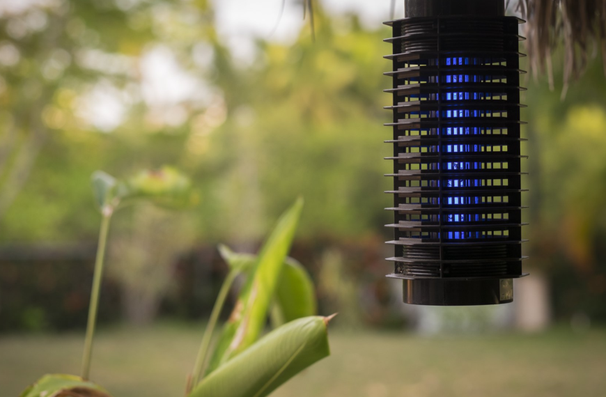 best-solar-bug-zapper