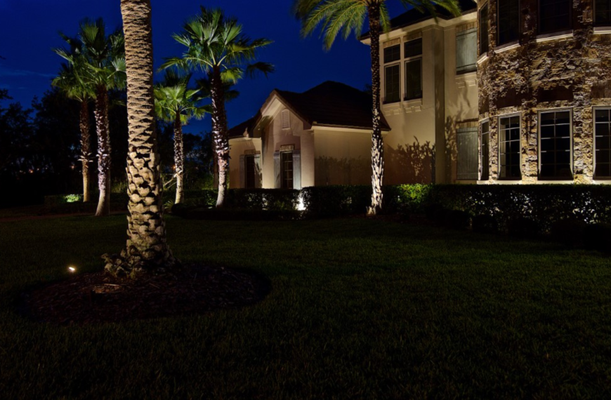 best-solar-uplights-for-trees